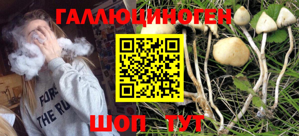 Ханты-Мансийск  Галлюциногенные грибы Cubensis  Вход с VPN 